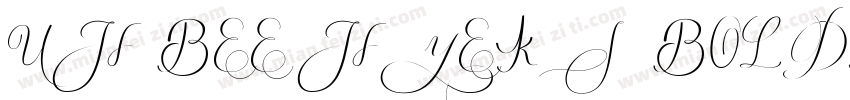 UHBEE HYEKI BOLDTTF字体转换